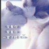 爱囡的头像