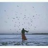 曲中人的头像