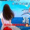 退出的头像
