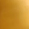 伟伟的头像
