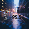 FM~95.5（孤独）的头像