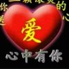 天星的头像