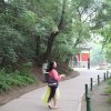 权的头像