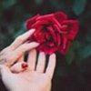 小可爱的头像