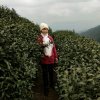 随心一想的头像