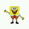 爱吃橘子的海绵宝宝的头像