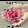 小傻瓜爱你的头像