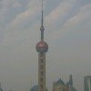楊的头像