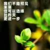 淡淡的忧伤的头像