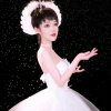 傻丫头枫叶红副创的头像
