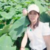 清影萧的头像