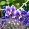 奋斗中（暂退）的头像