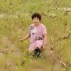 小白杨的头像