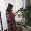 向日葵的头像