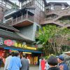 太阳红〈退出〉的头像