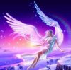 天使的翅膀的头像