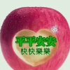 珍惜的头像