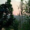小海绵 的头像