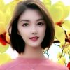 没有花花的头像