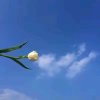 阿雄的头像