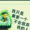 嚎歌的头像
