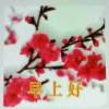 俪子的头像
