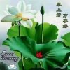 桂英的头像
