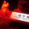 银森泽【退】的头像