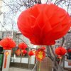 @安康吉祥的头像
