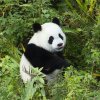 酲目仔的头像