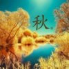 秋子的头像