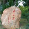 今生无悔的头像