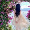༺❀惜❀缘❀༻的头像