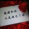 勇往直前的头像