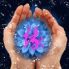 惜缘的头像