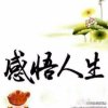 自由飞翔的头像