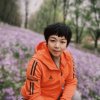 勿忘我的头像