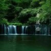 月亮湾湾的头像