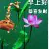 缘来无缘的头像