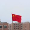 若真的头像