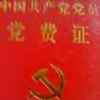 东山再升辉煌的头像