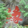 缘的头像