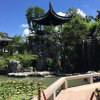 我心依旧的头像