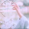 醉挽清风的头像