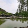 小翠的头像