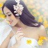 鸿雁的头像