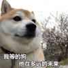 起名废的头像