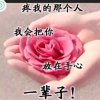 随心如意(离拒私)的头像