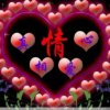 百合的头像