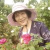 芳草的头像